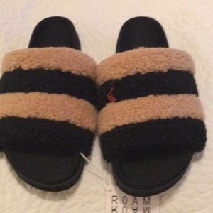 NWT ROAM striped slides